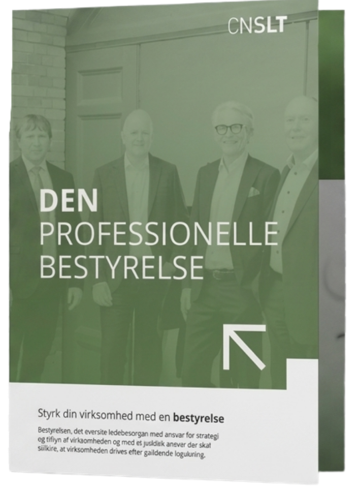 Den professionelle bestyrelse